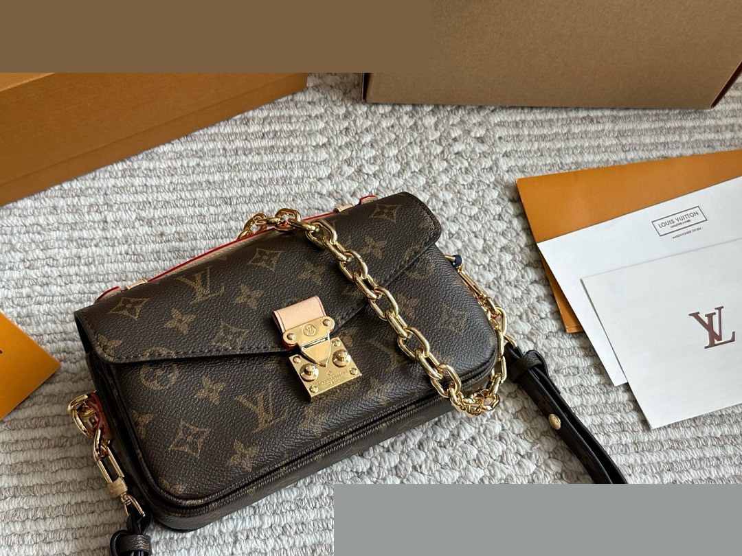 LV Bag 540