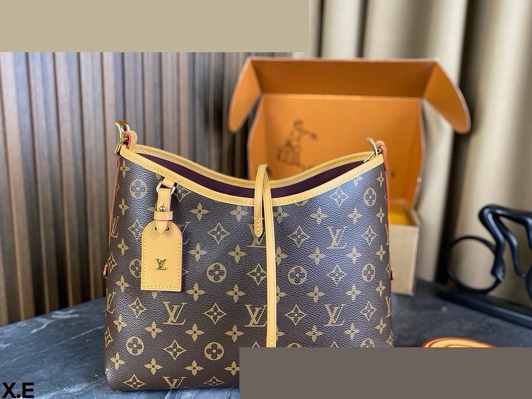 LV Bag 547
