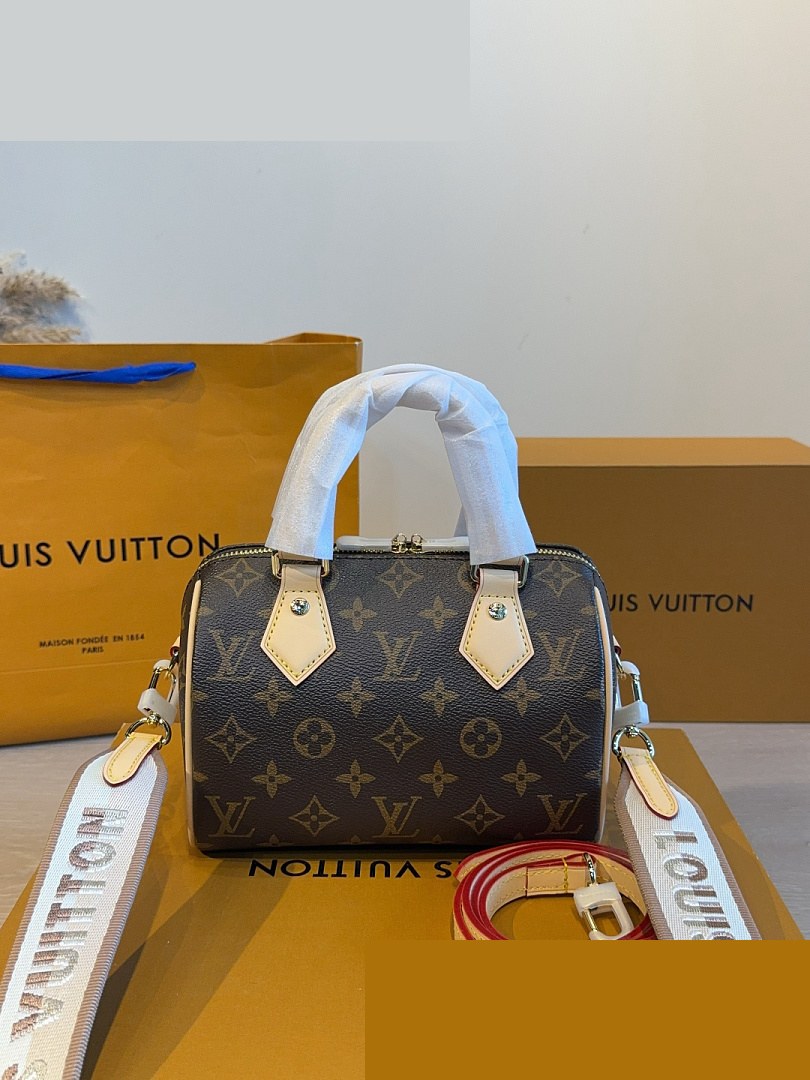 LV Bag 549