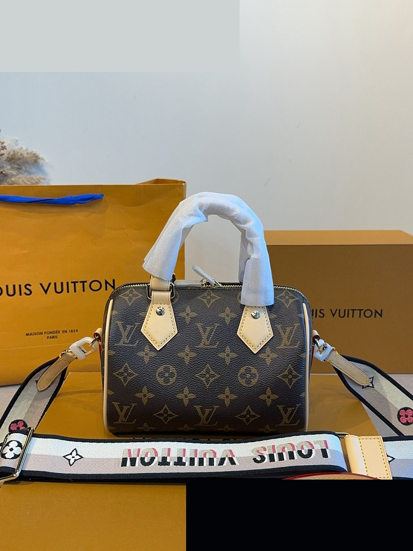 LV Bag 550