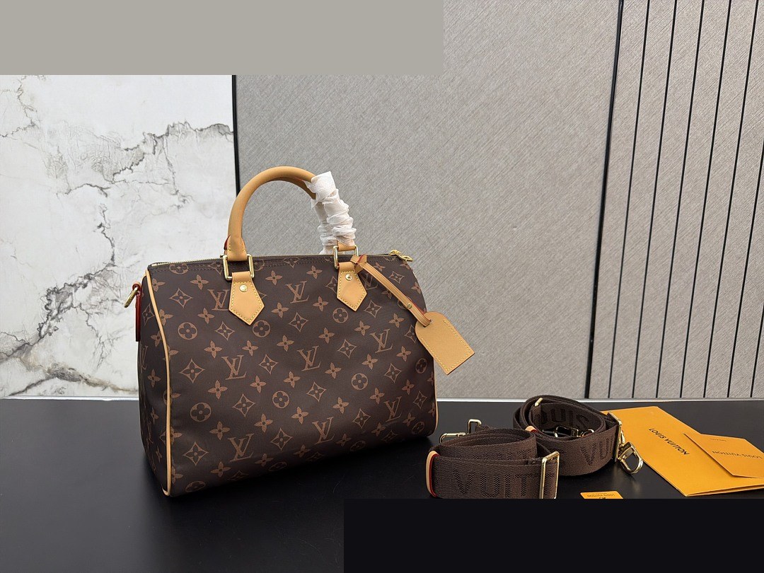 LV Bag 583