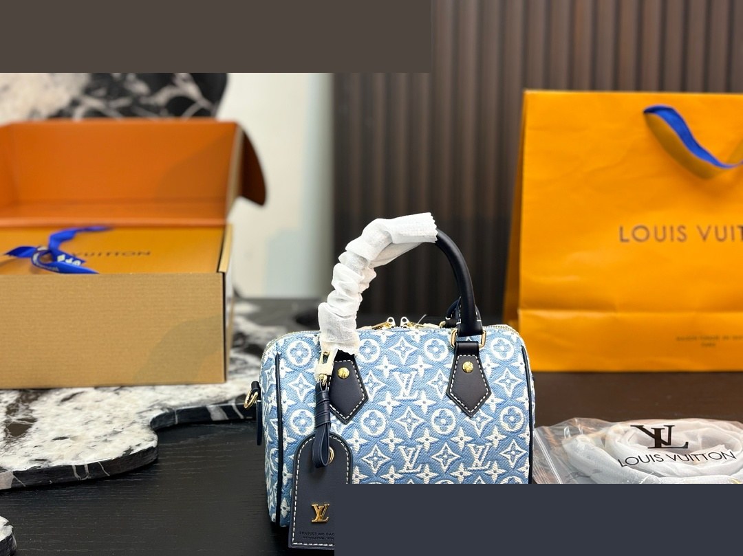 LV Bag 584