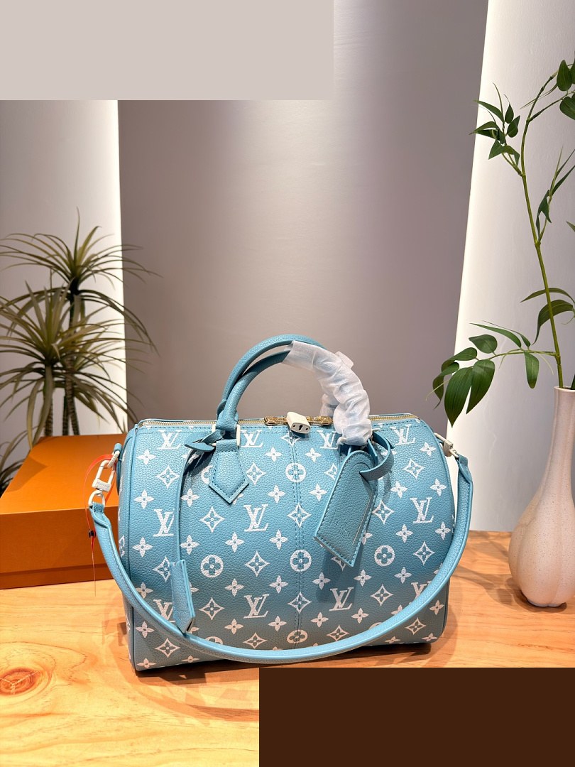 LV Bag 598