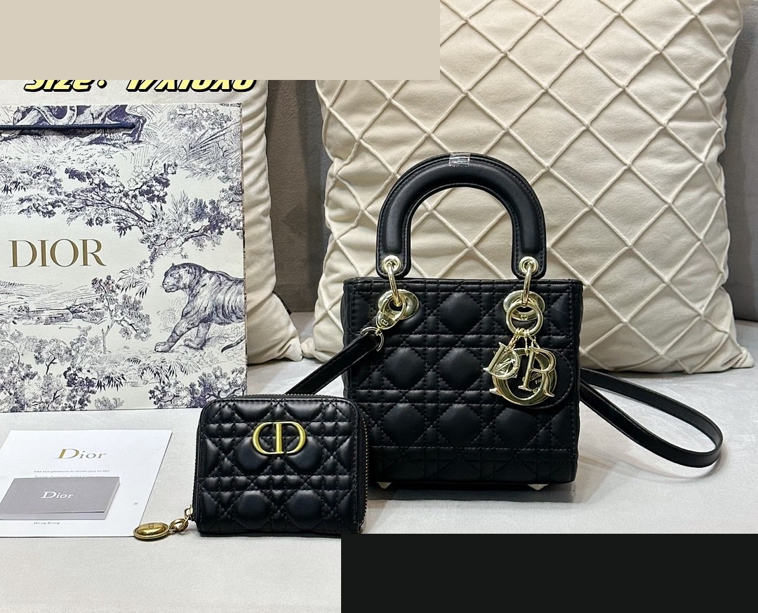 S2 Bag 080