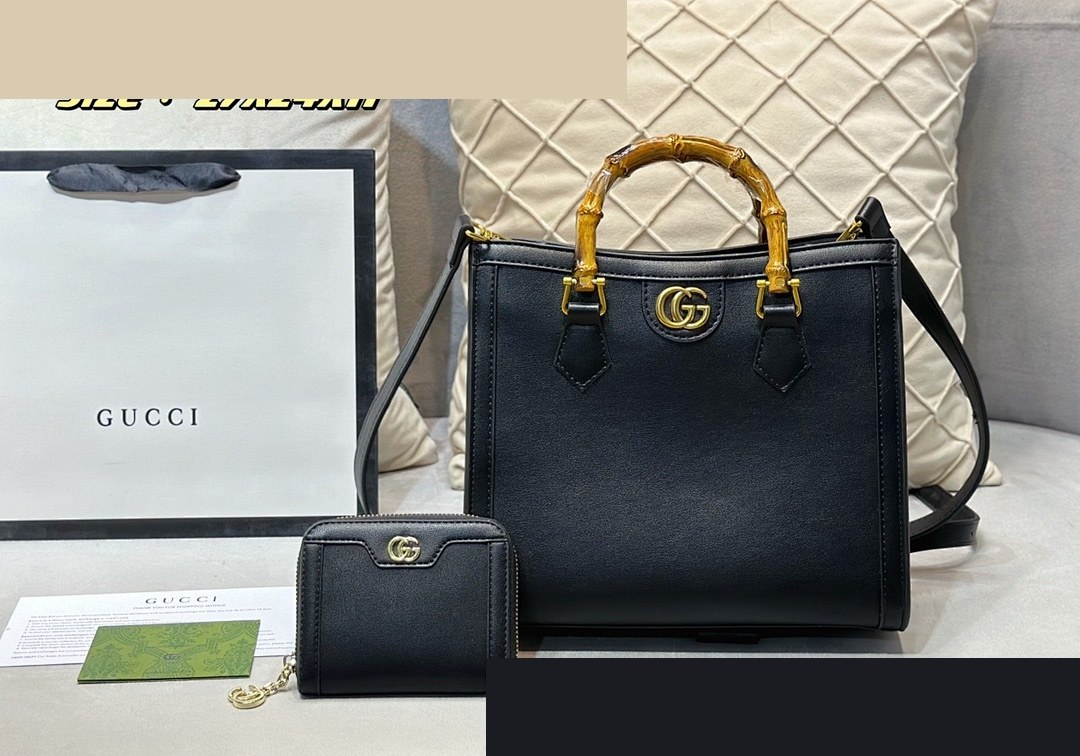 S2 Bag 170
