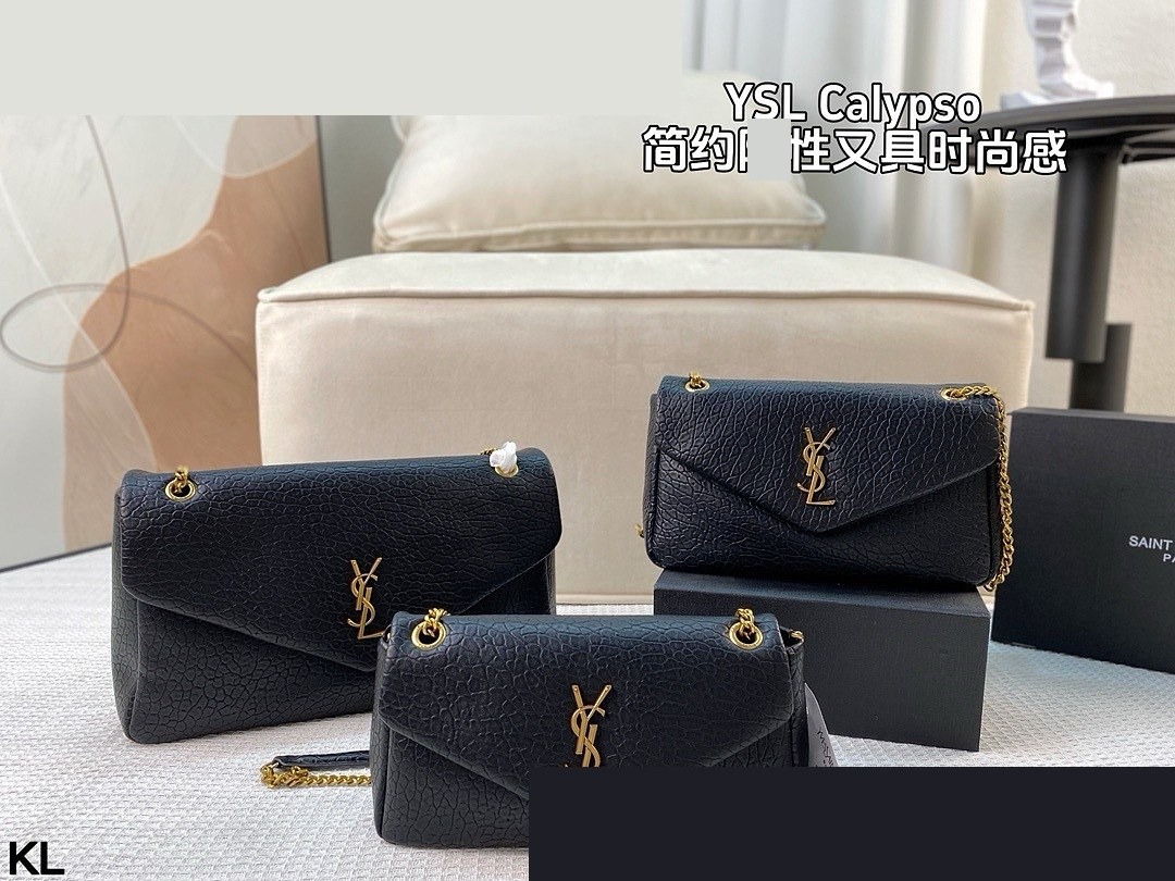 YSL Bag 039