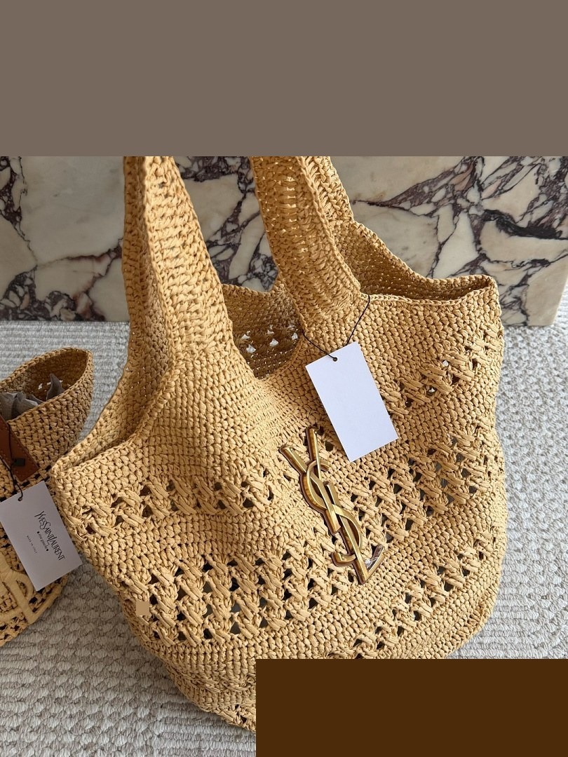 YSL Bag 229