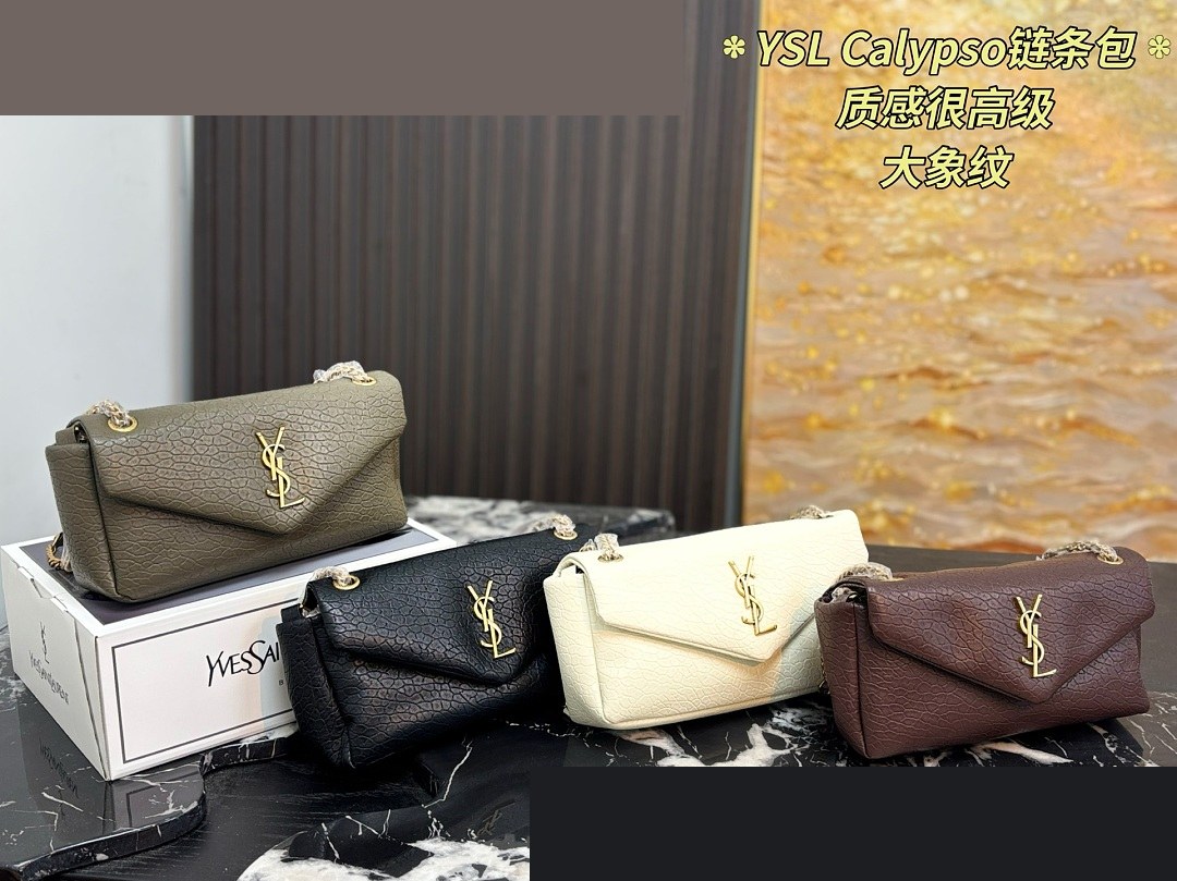 YSL Bag 528