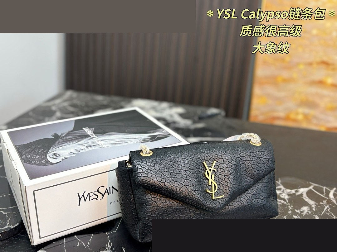 YSL Bag 529